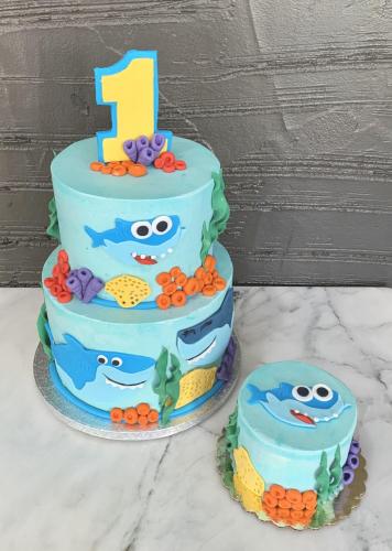 First Birthday Cake and Smash Cake by Whipped Bakeshop Baby Shark Cake
