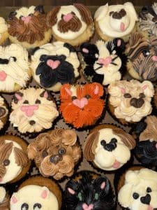 Dog and cat cupcakes by Whipped Bakeshop in Philadelphia