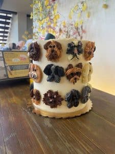 Dog and cat cake by Whipped Bakeshop in Philadelphia