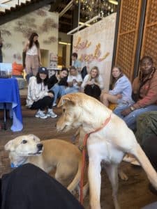 A Free People cuddle lounge event with cake and cupcakes by Whipped Bakeshop in Philadelphia