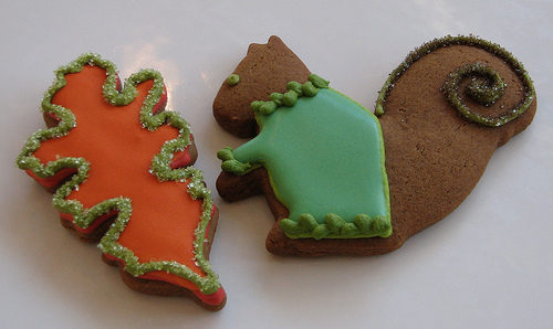 It's hard not to love a squirrel in a sweater.