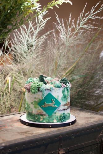 Vault & Vine Succulent Cake by Whipped Bakeshop